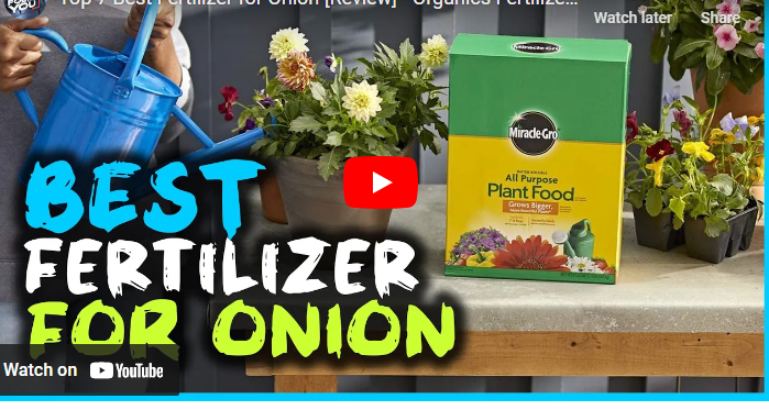 15 Best Fertilizers for Onions Farm [Organic & Inorganic]