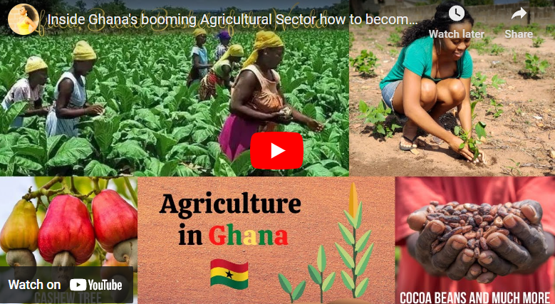 Agriculture Facts In Ghana