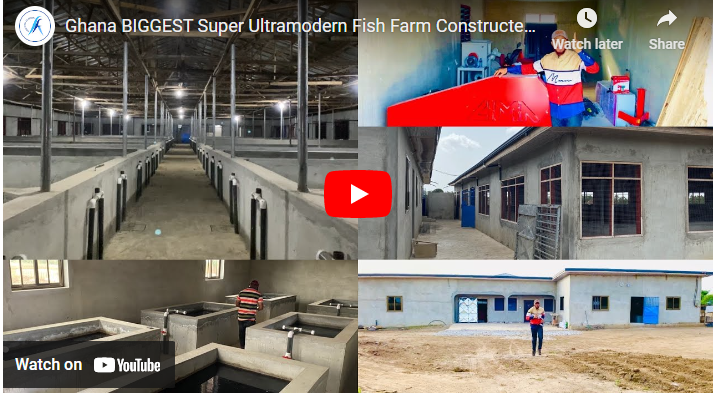 Biggest Fish Farm Projects in Ghana