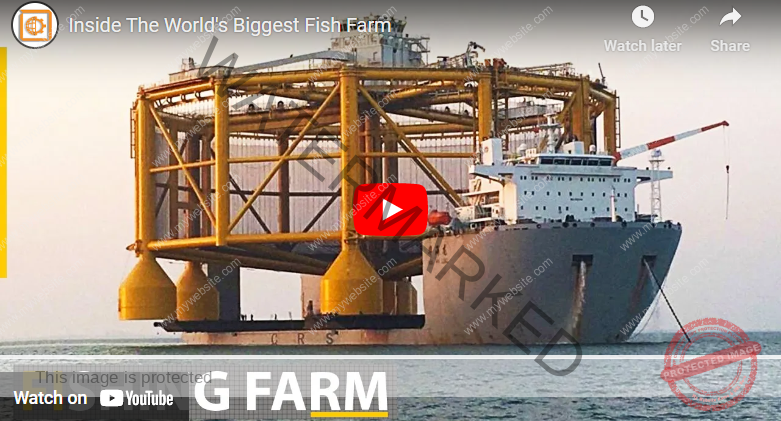 Biggest Fish Farming Companies in The World