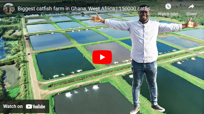 Biggest Fish Farms in Africa