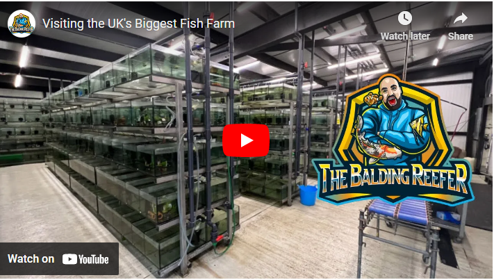 Biggest Fish Farms in UK