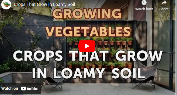 Crops Suitable for Loam Soil