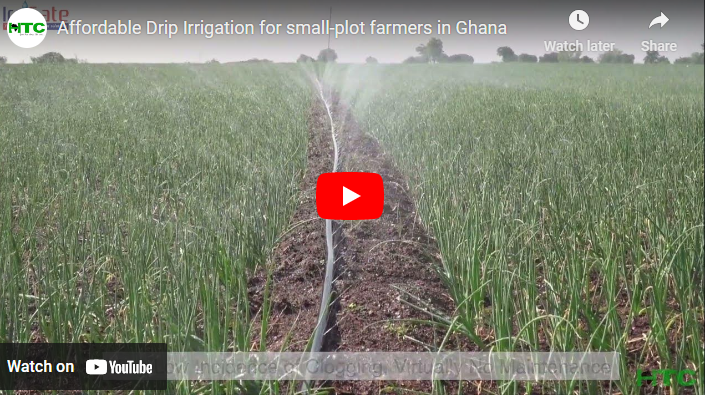 Drip Irrigation System Ghana