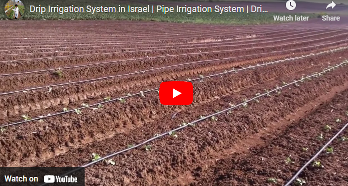 Drip Irrigation System In Israel