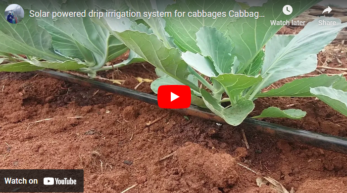 Drip Irrigation System Uganda