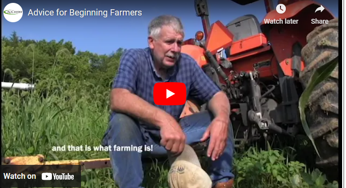Factors to Consider When Starting A Farm
