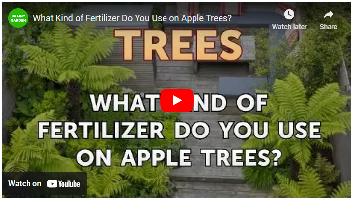Fertilizer Schedule for Apple Trees
