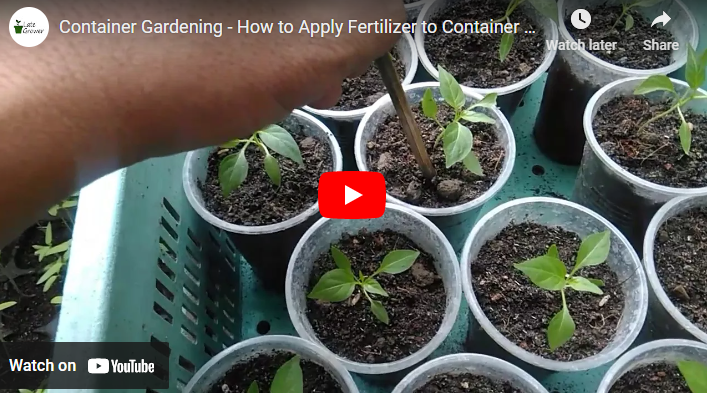 How To Apply Fertilizer to Potted Plants