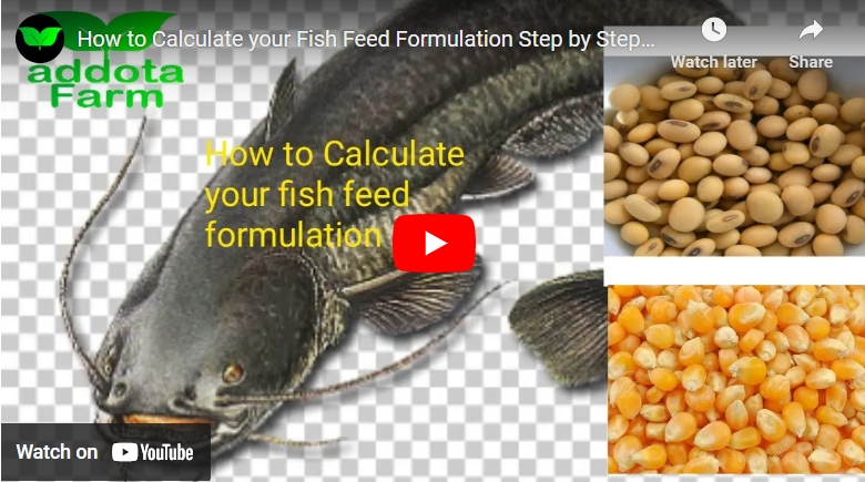 How To Formulate Fish Feed in Nigeria