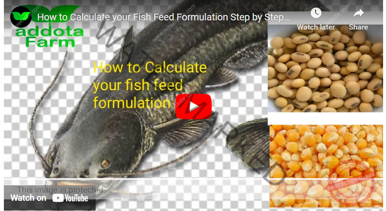 how-to-formulate-fish-feed-in-nigeria-agrolearner