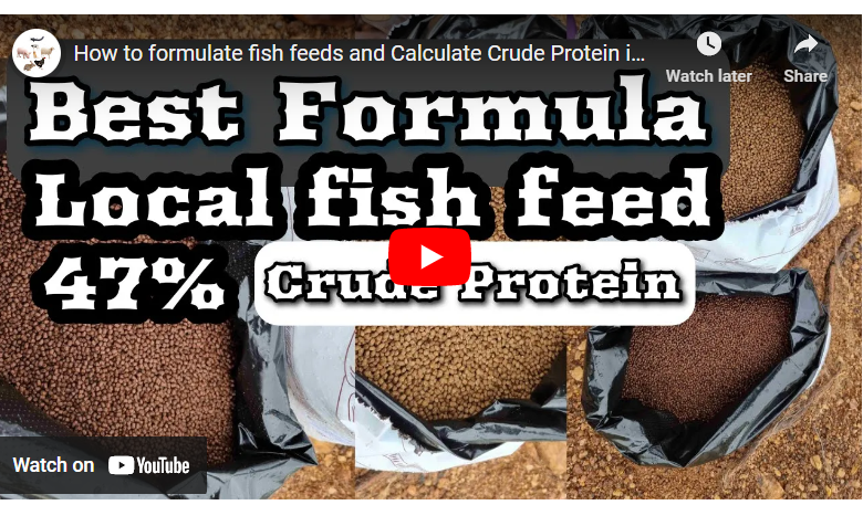 How To Formulate Fish Feed in Uganda