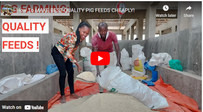 How To Formulate Pig Feed In Uganda