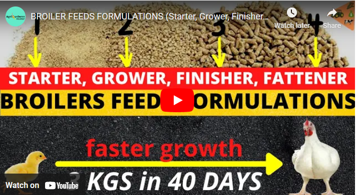 How To Formulate Poultry Feed PDF