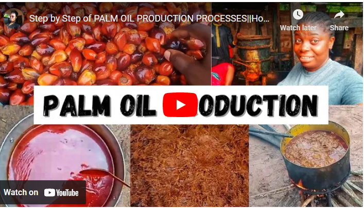 How To Process Palm Oil
