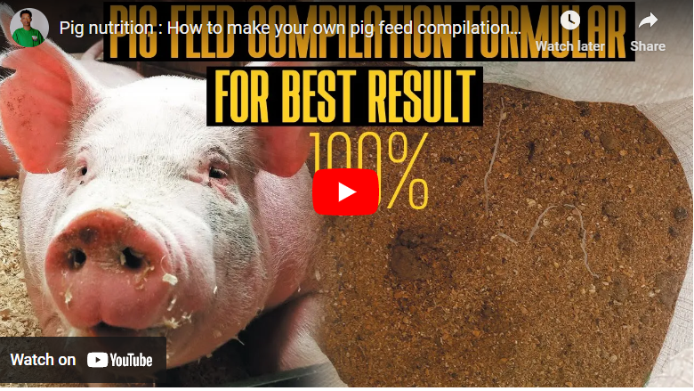 How to Formulate Pig Feed in South Africa