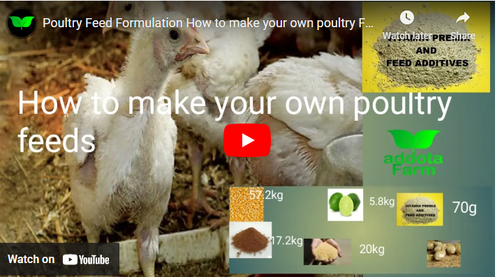 How to Formulate Poultry Feed In Nigeria