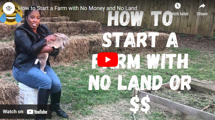 How to Start a Small Farm in Texas