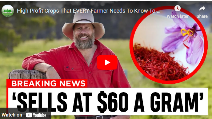Most Profitable Crops for Small Farms in Australia