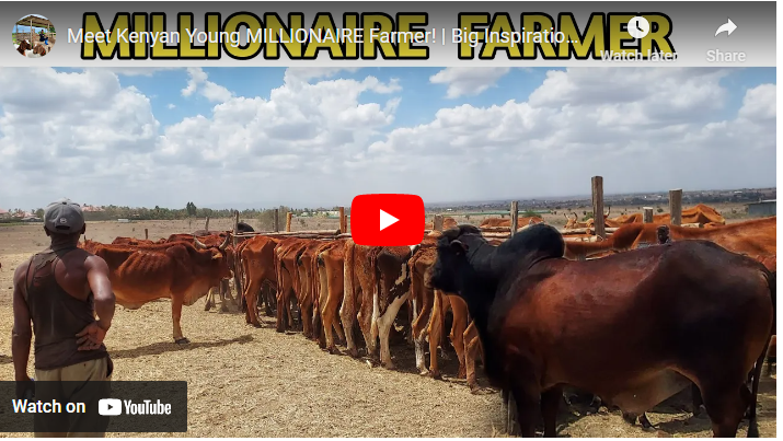 Profitable Animal Farming In Kenya