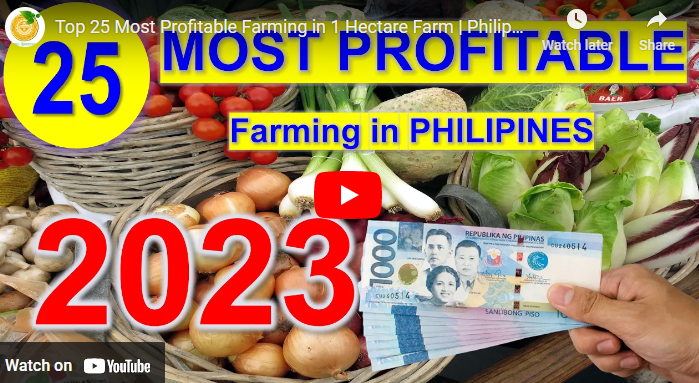 Richest Farmer in the Philippines