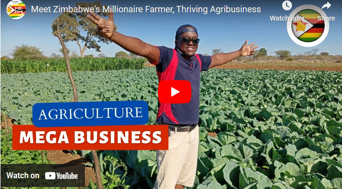Richest Farmers in Zimbabwe