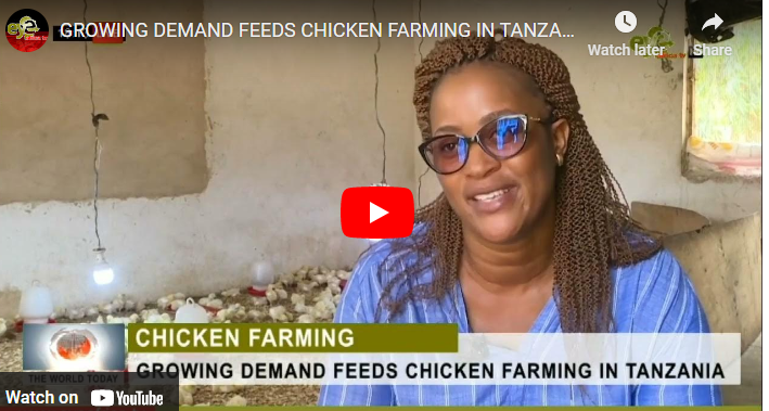 Richest Poultry Farmers in Tanzania
