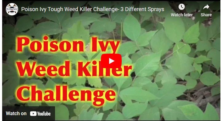 The Top 10 Best Herbicides for Poison Ivy