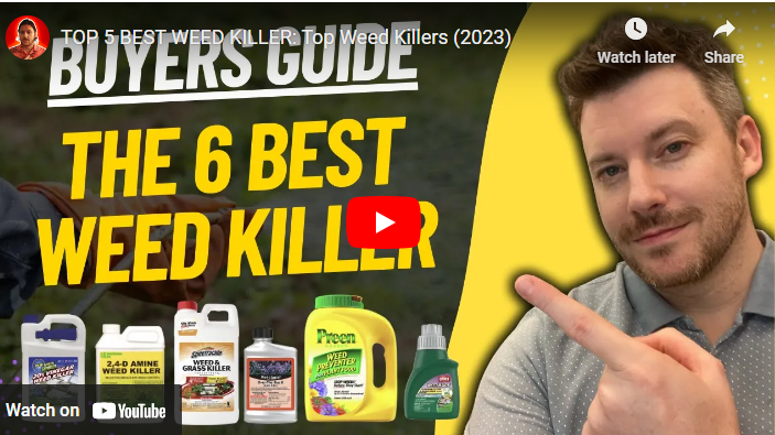 The Top 10 Best Herbicides