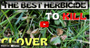 Top 10 Best Herbicides for Clover - Agrolearner.com