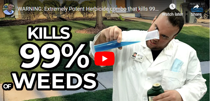 Top 10 Best Herbicides for Dandelions