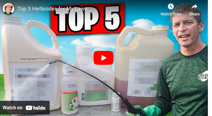 Top 10 Best Herbicides for Lawns