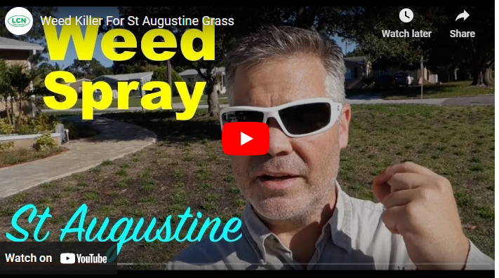 Top 15 Best Herbicides for St Augustine Grass