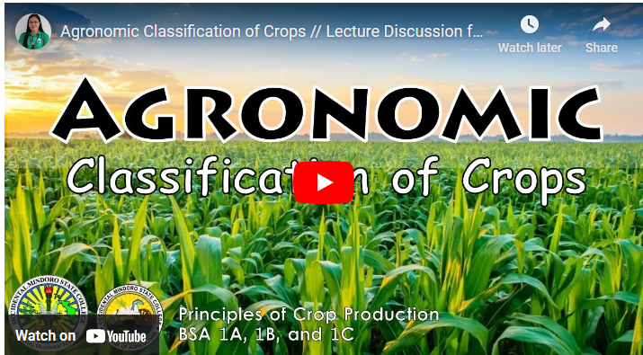 Agronomic Classification of Crops in Agriculture