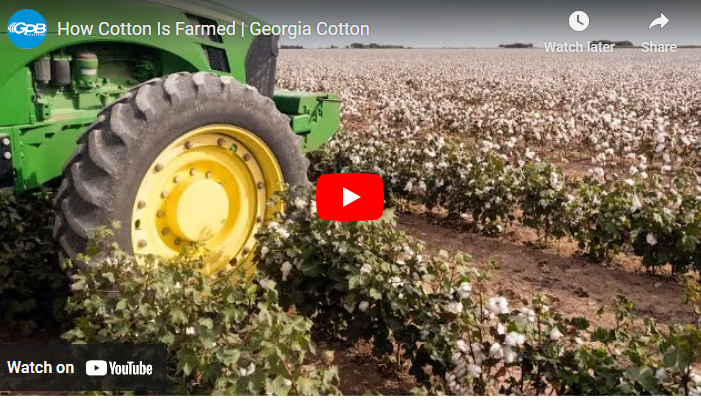Best Agronomic Practices on Cotton Plantation