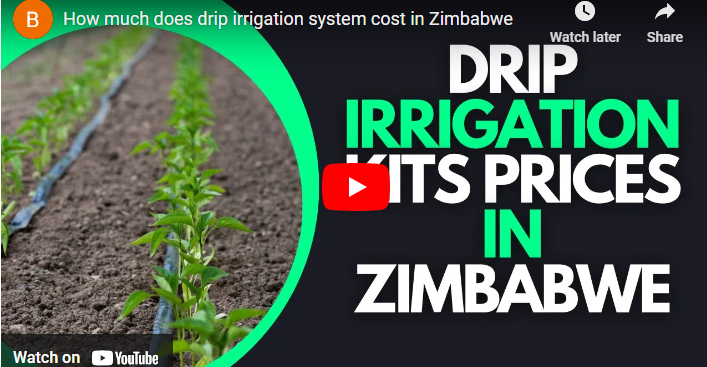 Drip Irrigation System Zimbabwe