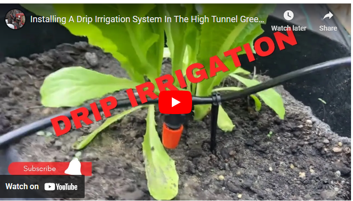 Drip Irrigation System in Greenhouse