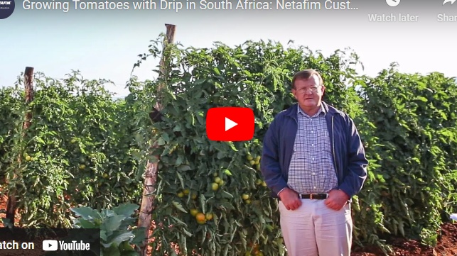 Drip Irrigation System in South Africa