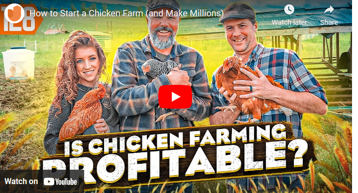 How to Start Poultry Farming Business in Australia