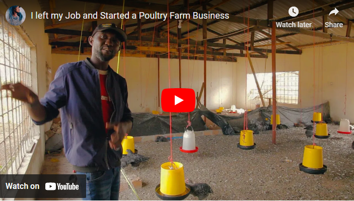 How to Start Poultry Farming Business in Zambia