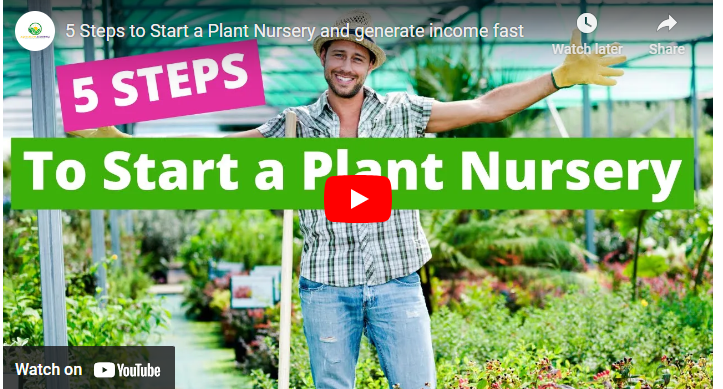 How to Start a Plant Nursery Business in Australia
