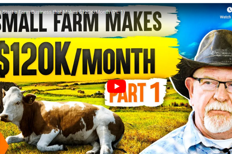 How to become a Farmer in Northern Ireland