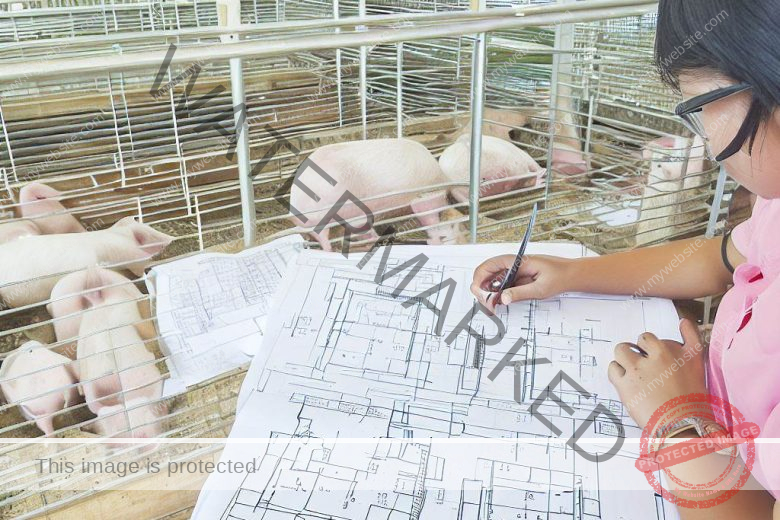 cheapest ways to build pig pen