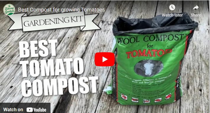 Best Compost for Tomatoes