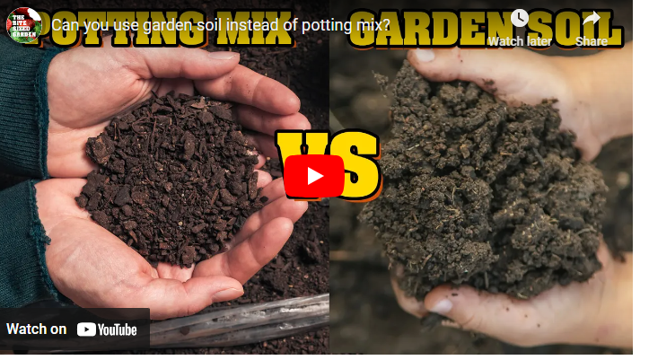 Garden Soil vs Potting Soil for Tomatoes