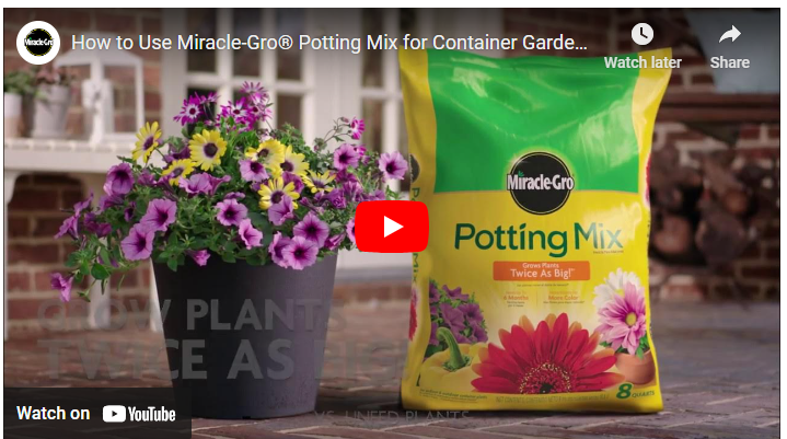 Miracle Gro Potting Mix vs Potting Soil