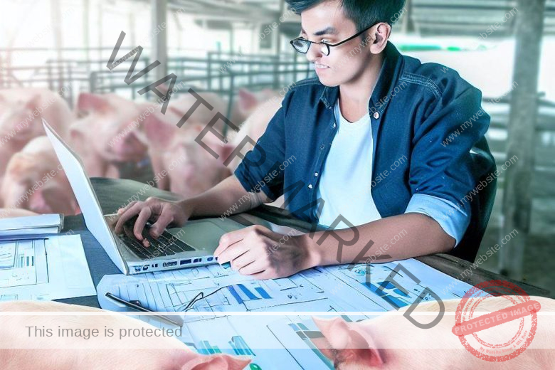 Pig Farming Business Plan Proposal