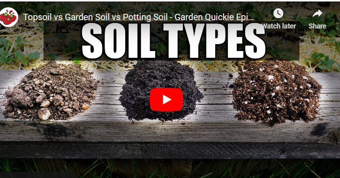 Potting Soil vs Topsoil