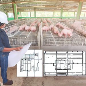 How to Build a Pig Pen with Hog Panels