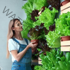 How To Grow Lettuce In Vertical Garden